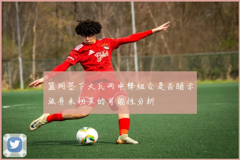 篮网签下大瓦两中锋组合是否暗示放弃米切罗的可能性分析