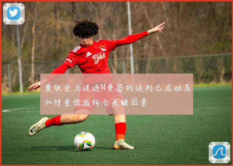 曼联全力追逐M费签约谈判已启动乌加特重伤成转会关键因素